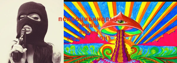 молекула духа Гусиноозёрск