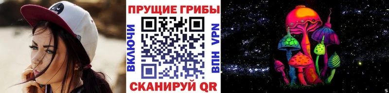 цены наркотик  Покров  Псилоцибиновые грибы Cubensis 