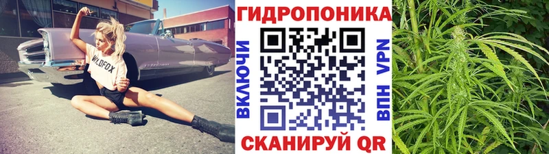 Каннабис White Widow Покров